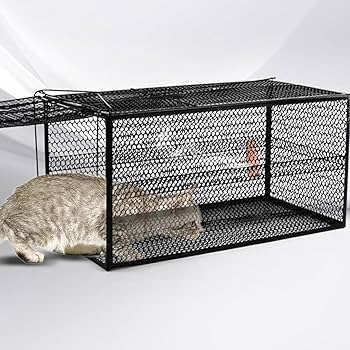 小動物捕獲き 小動物捕獲機両ドアタイプ DA-18 | 防獣・駆除・忌避 通販